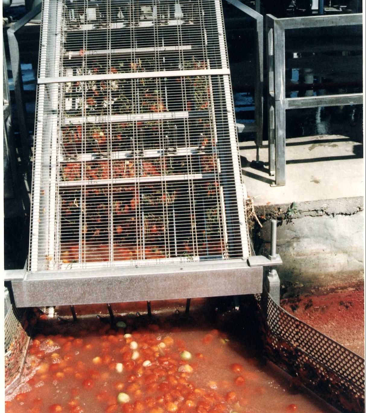 Plants weeding machine