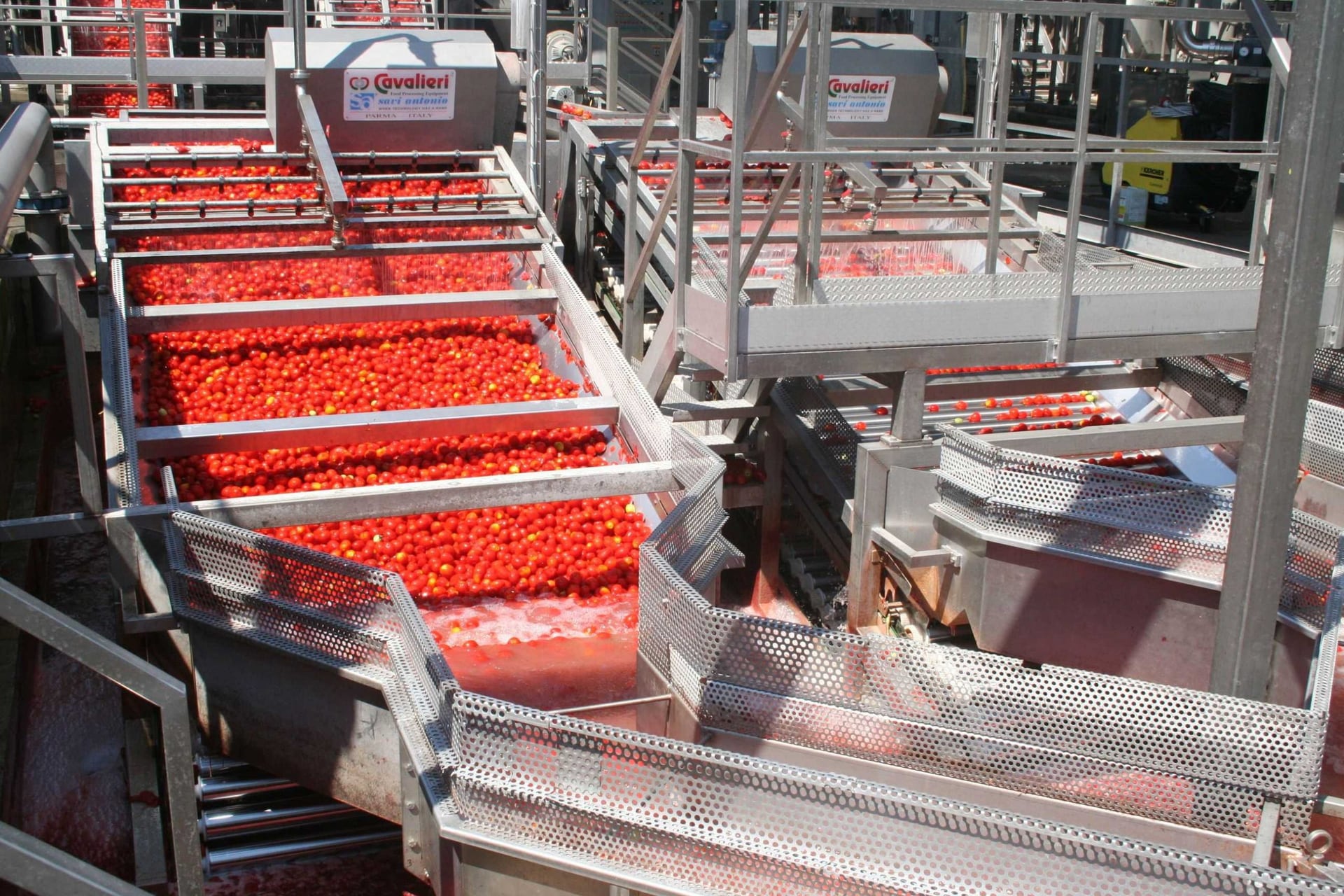 Weeding Roller Conveyor