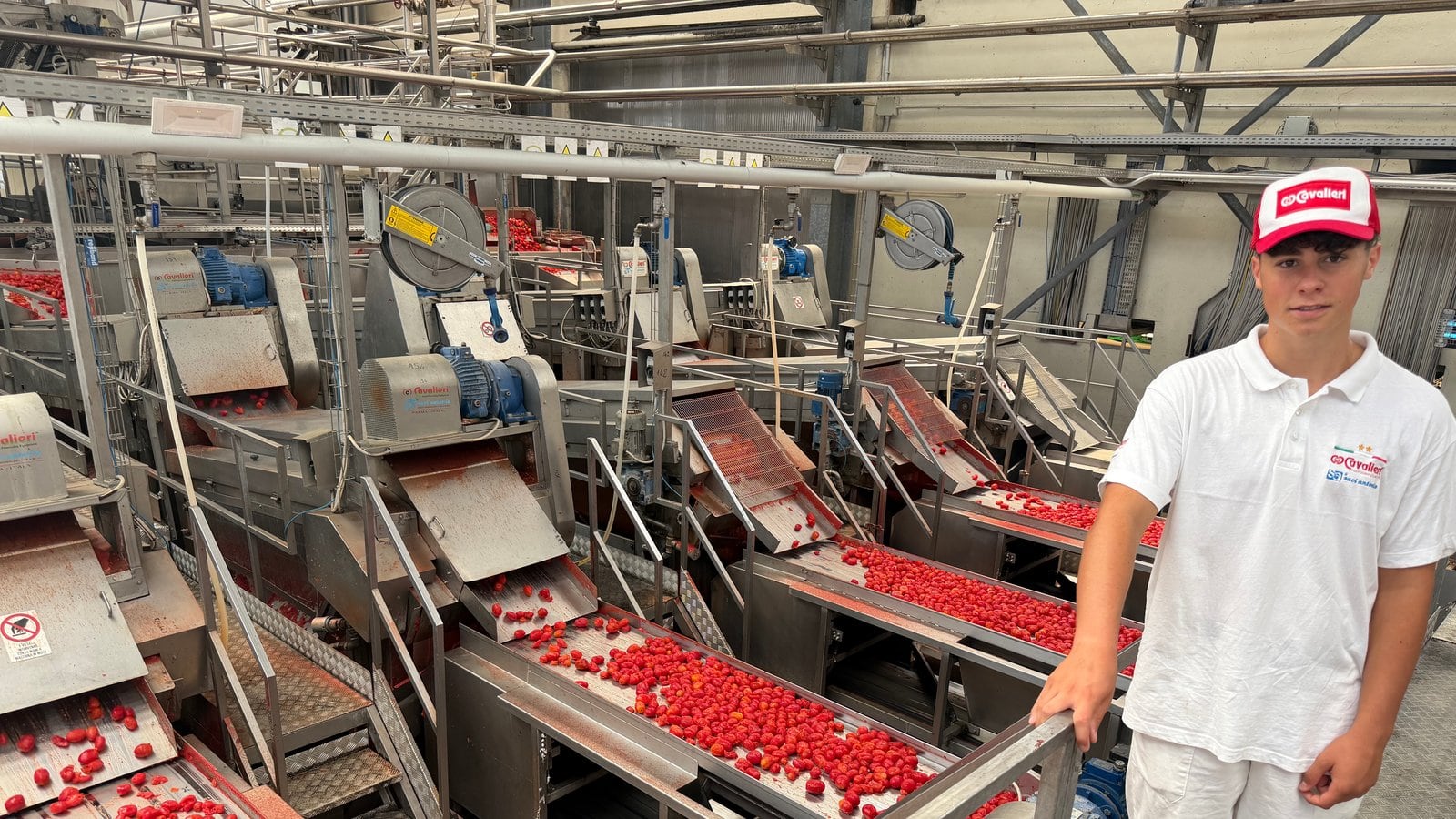 Processing line management